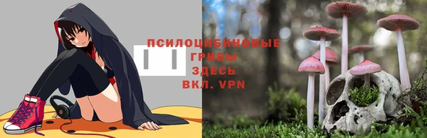 шишки Армянск