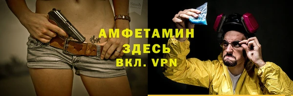 шишки Армянск