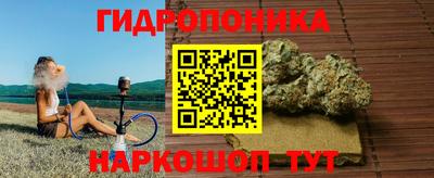 стафф Краснознаменск