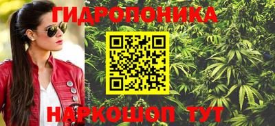 шишки Краснодар