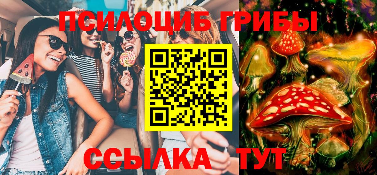 Галлюциногенные грибы Psilocybe Лабинск