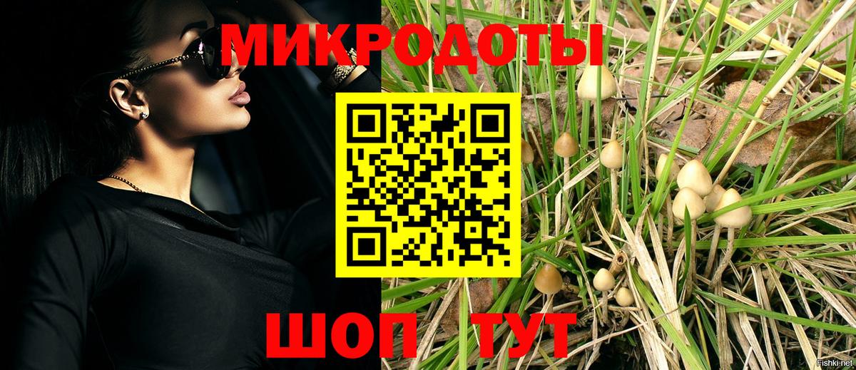 Псилоцибиновые грибы мухоморы  Галлюциногенные грибы Cubensis  Вход с VPN  Лабинск 